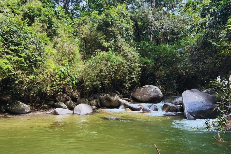 Tours - Minca - Jungle Tour - Somos Caribe