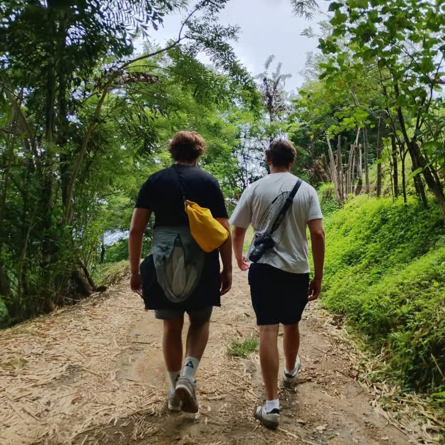 Tours - Minca - Jungle Tour - Somos Caribe