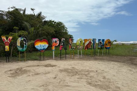 Tours - Palomino - Jungle Tour - Somos Caribe