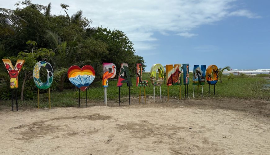 Tours - Palomino - Jungle Tour - Somos Caribe