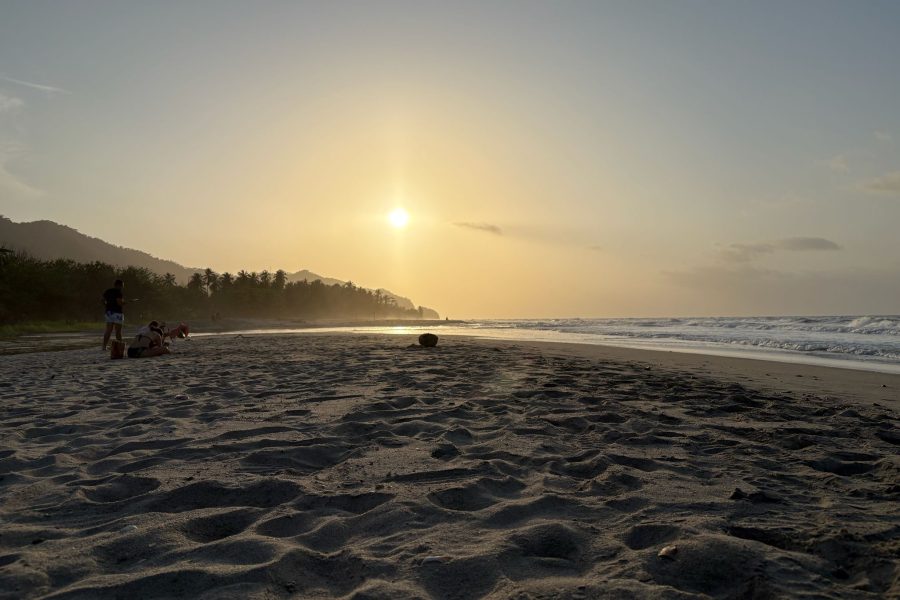 Tours - Palomino - Jungle Tour - Somos Caribe