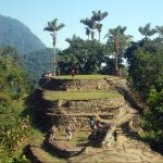 Tours - Ciudad Perdidad - Santa Marta - Somos Caribe