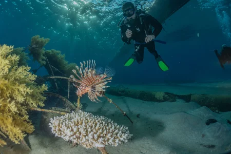 Buceo Santa Marta - Somos Caribe